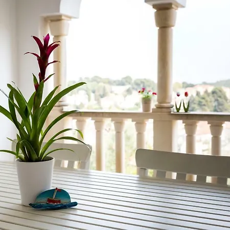 Alma Affittacamere 4*