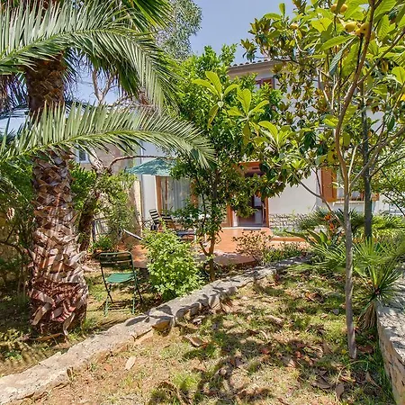 Πανσιόν Alma Veli Lošinj