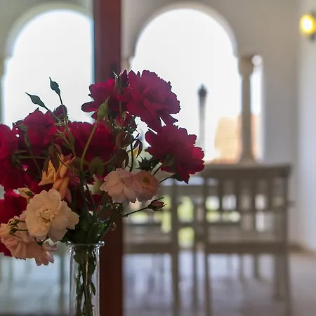 Πανσιόν Alma Veli Lošinj