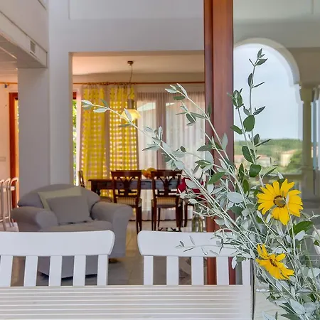 Guest house Alma